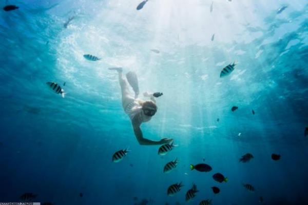 东莞儿童体育培训机构选择技巧(图1)